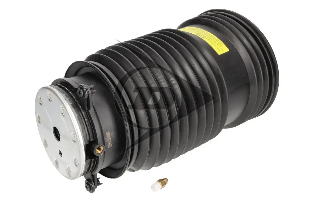 Luftfeder, Fahrwerk Hinterachse links Dunlop Airsuspension 74260