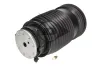 Luftfeder, Fahrwerk Hinterachse rechts Dunlop Airsuspension 74261