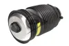 Luftfeder, Fahrwerk Hinterachse rechts Dunlop Airsuspension 74261 Bild Luftfeder, Fahrwerk Hinterachse rechts Dunlop Airsuspension 74261