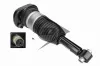 Luftfederbein hinten links Dunlop Airsuspension 77291 Bild Luftfederbein hinten links Dunlop Airsuspension 77291