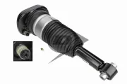 Luftfederbein hinten links Dunlop Airsuspension 77291