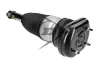 Luftfederbein hinten links Dunlop Airsuspension 77291 Bild Luftfederbein hinten links Dunlop Airsuspension 77291