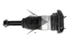 Luftfederbein hinten links Dunlop Airsuspension 77291 Bild Luftfederbein hinten links Dunlop Airsuspension 77291