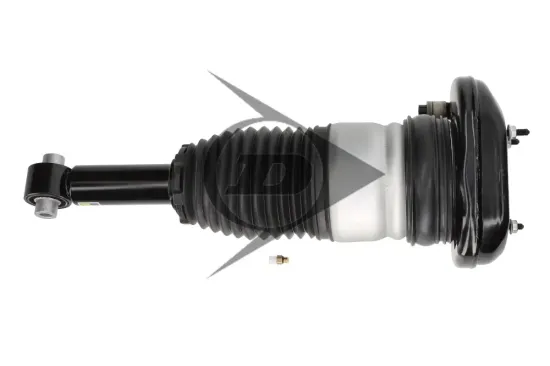 Luftfederbein hinten links Dunlop Airsuspension 77291 Bild Luftfederbein hinten links Dunlop Airsuspension 77291