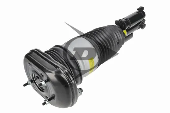 Luftfederbein hinten links Dunlop Airsuspension 77293 Bild Luftfederbein hinten links Dunlop Airsuspension 77293