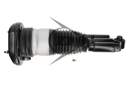 Luftfederbein hinten links Dunlop Airsuspension 77293 Bild Luftfederbein hinten links Dunlop Airsuspension 77293