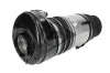 Luftfeder, Fahrwerk Vorderachse Dunlop Airsuspension 77306 Bild Luftfeder, Fahrwerk Vorderachse Dunlop Airsuspension 77306