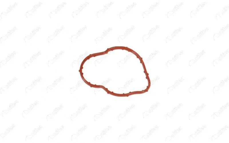 Dichtung, Kühlmittelrohrleitung NIFEA 11034