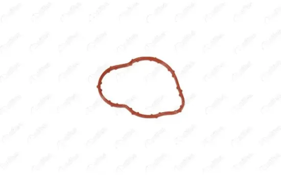 Dichtung, Kühlmittelrohrleitung NIFEA 11034 Bild Dichtung, Kühlmittelrohrleitung NIFEA 11034