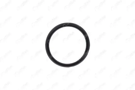 Dichtring, Ladeluftschlauch NIFEA 11618 Bild Dichtring, Ladeluftschlauch NIFEA 11618