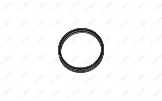 Dichtung, Kraftstofftankverschluss NIFEA 27217 Bild Dichtung, Kraftstofftankverschluss NIFEA 27217