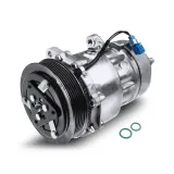 Kompressor, Klimaanlage 12 V Frankberg 5481FB0001208