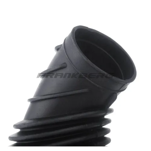 Ansaugschlauch, Luftfilter Frankberg 5481FB0001646 Bild Ansaugschlauch, Luftfilter Frankberg 5481FB0001646