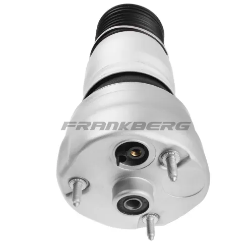 Luftfeder, Fahrwerk vorne rechts Frankberg 5481FB0002110 Bild Luftfeder, Fahrwerk vorne rechts Frankberg 5481FB0002110