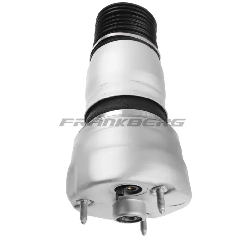 Luftfeder, Fahrwerk vorne rechts Frankberg 5481FB0002110 Bild Luftfeder, Fahrwerk vorne rechts Frankberg 5481FB0002110