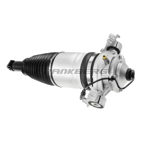 Luftfederbein Frankberg 5481FB0002231 Bild Luftfederbein Frankberg 5481FB0002231