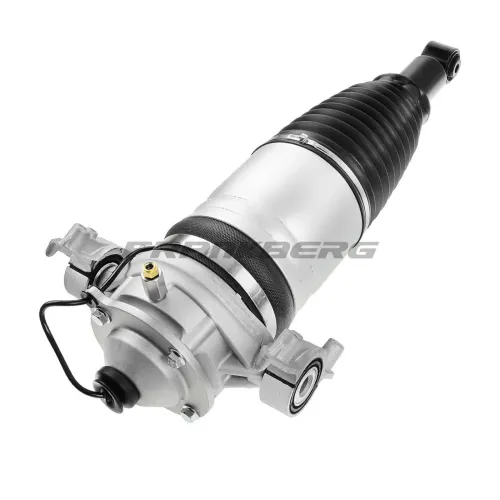 Luftfederbein Frankberg 5481FB0002231 Bild Luftfederbein Frankberg 5481FB0002231