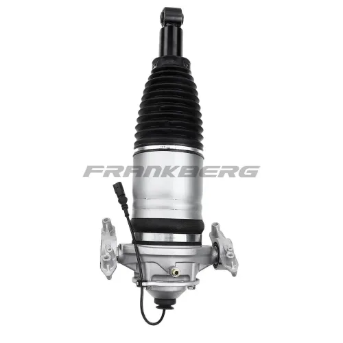 Luftfederbein Frankberg 5481FB0002232 Bild Luftfederbein Frankberg 5481FB0002232