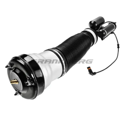 Luftfederbein vorne rechts Frankberg 5481FB0002259 Bild Luftfederbein vorne rechts Frankberg 5481FB0002259