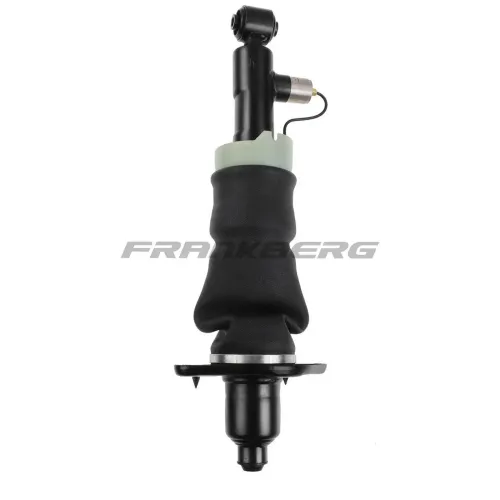 Luftfederbein Frankberg 5481FB0002276 Bild Luftfederbein Frankberg 5481FB0002276