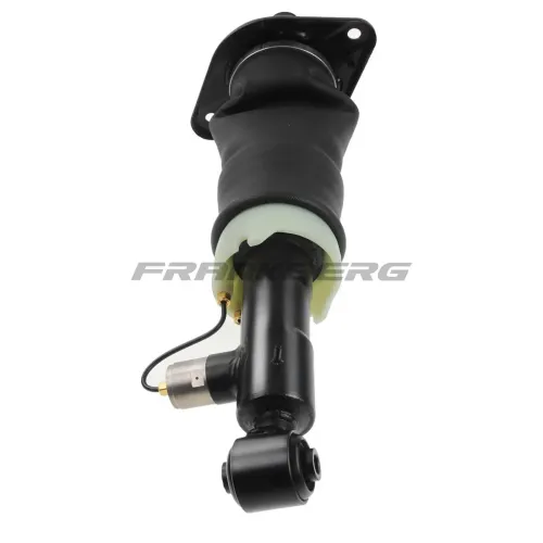 Luftfederbein Frankberg 5481FB0002276 Bild Luftfederbein Frankberg 5481FB0002276