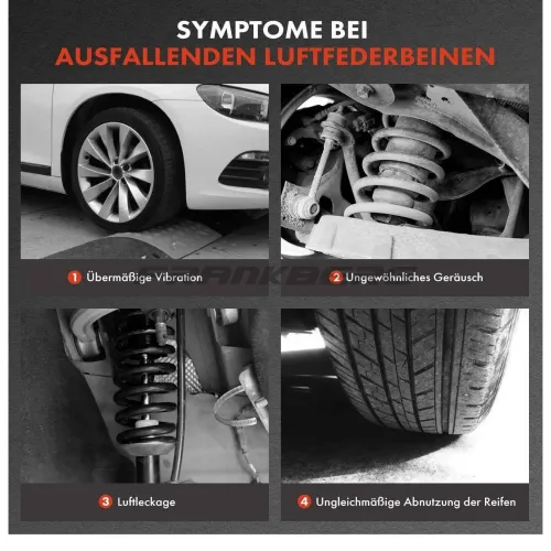 Luftfederbein Frankberg 5481FB0002296 Bild Luftfederbein Frankberg 5481FB0002296