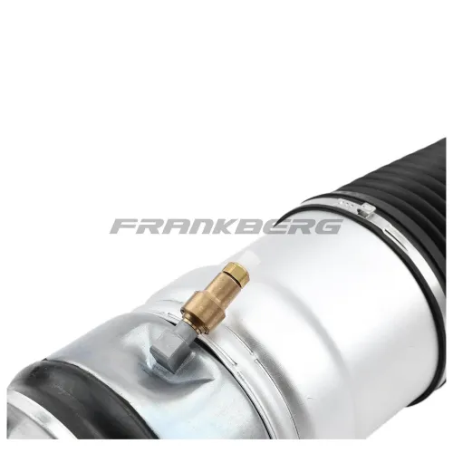 Luftfederbein Frankberg 5481FB0002302 Bild Luftfederbein Frankberg 5481FB0002302