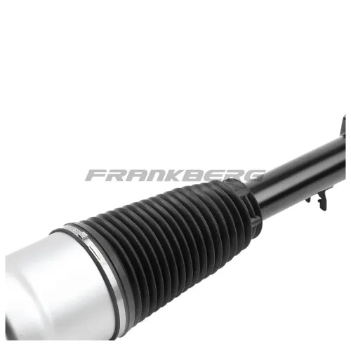 Luftfederbein Frankberg 5481FB0002302 Bild Luftfederbein Frankberg 5481FB0002302