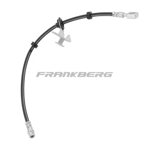 Bremsschlauch Frankberg 5481FB0004541 Bild Bremsschlauch Frankberg 5481FB0004541