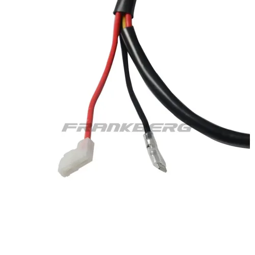 Regler, Innenraumgebläse vorne Frankberg 5481FB0005569 Bild Regler, Innenraumgebläse vorne Frankberg 5481FB0005569