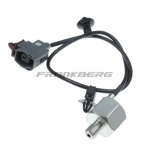 Klopfsensor Frankberg 5481FB0007639 Bild Klopfsensor Frankberg 5481FB0007639