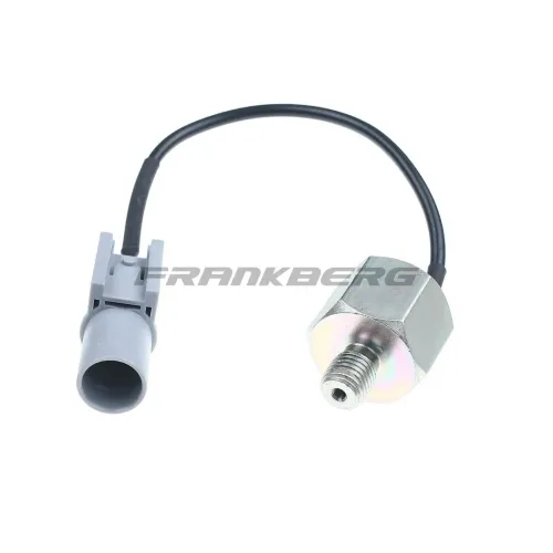 Klopfsensor Frankberg 5481FB0007911 Bild Klopfsensor Frankberg 5481FB0007911