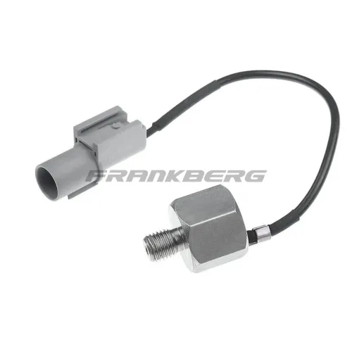 Klopfsensor Frankberg 5481FB0007911 Bild Klopfsensor Frankberg 5481FB0007911