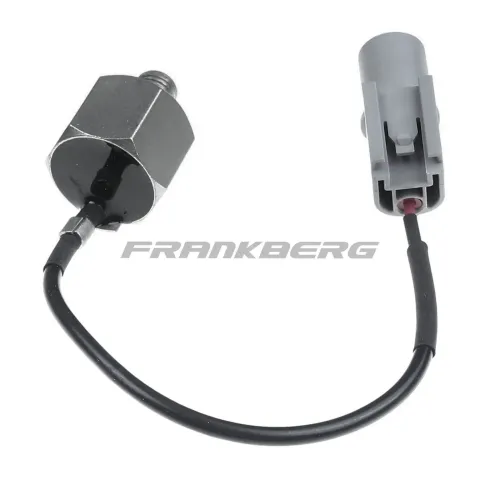 Klopfsensor Frankberg 5481FB0007911 Bild Klopfsensor Frankberg 5481FB0007911
