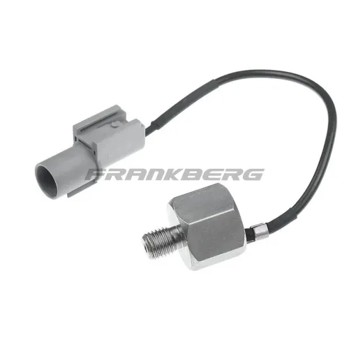 Klopfsensor Frankberg 5481FB0007911 Bild Klopfsensor Frankberg 5481FB0007911