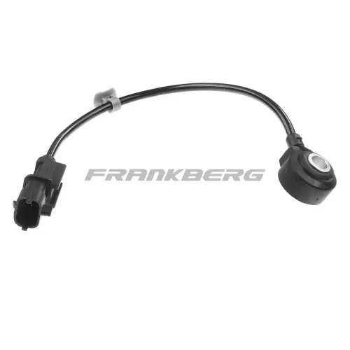 Klopfsensor Frankberg 5481FB0007950 Bild Klopfsensor Frankberg 5481FB0007950