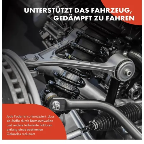 Fahrwerksfeder Frankberg 5481FB0008537 Bild Fahrwerksfeder Frankberg 5481FB0008537