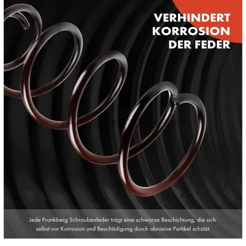 Fahrwerksfeder Frankberg 5481FB0008669 Bild Fahrwerksfeder Frankberg 5481FB0008669