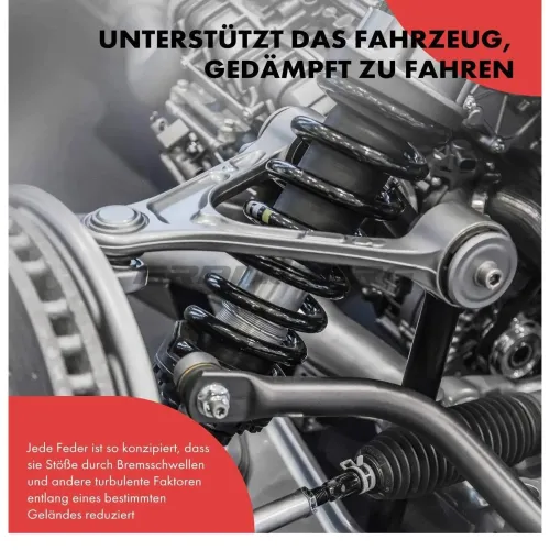 Fahrwerksfeder Frankberg 5481FB0008993 Bild Fahrwerksfeder Frankberg 5481FB0008993