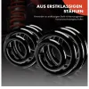 Fahrwerksfeder Frankberg 5481FB0009135 Bild Fahrwerksfeder Frankberg 5481FB0009135