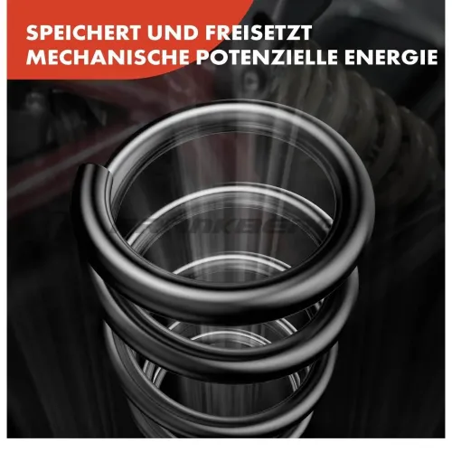 Fahrwerksfeder Frankberg 5481FB0009205 Bild Fahrwerksfeder Frankberg 5481FB0009205