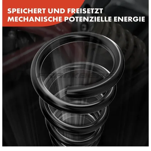 Fahrwerksfeder Frankberg 5481FB0009448 Bild Fahrwerksfeder Frankberg 5481FB0009448