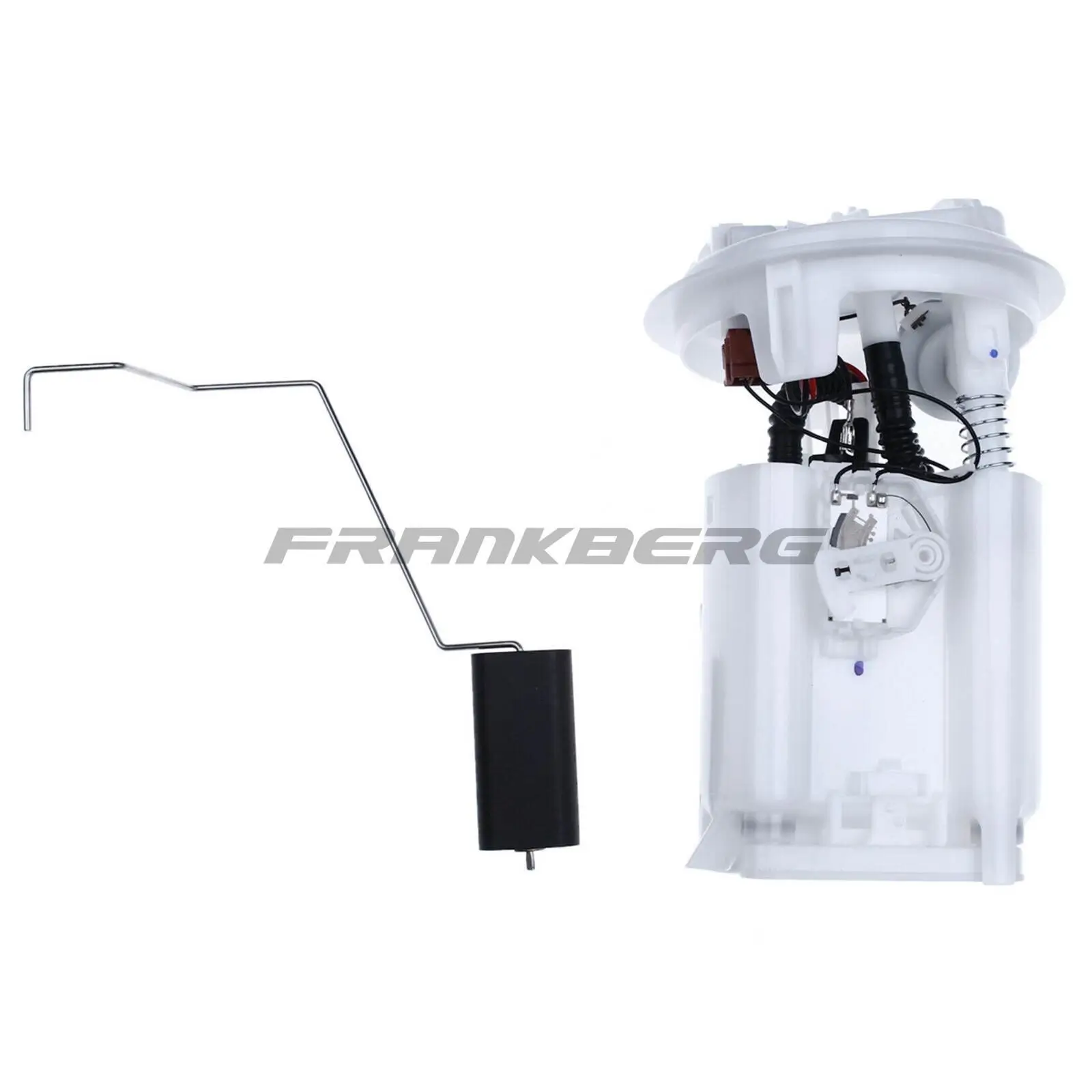 Kraftstoffpumpe im Kraftstofftank Frankberg 5481FB0012672