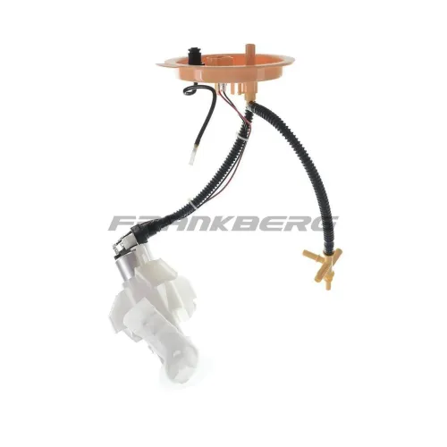 Kraftstoffpumpe Frankberg 5481FB0012698 Bild Kraftstoffpumpe Frankberg 5481FB0012698