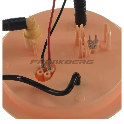 Kraftstoffpumpe Frankberg 5481FB0012698 Bild Kraftstoffpumpe Frankberg 5481FB0012698