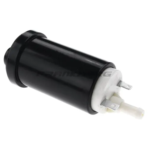 Kraftstoffpumpe im Kraftstofftank Frankberg 5481FB0012721 Bild Kraftstoffpumpe im Kraftstofftank Frankberg 5481FB0012721