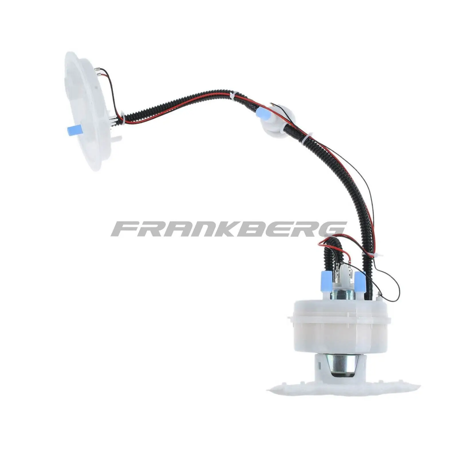 Kraftstoffpumpe im Kraftstofftank Frankberg 5481FB0012816