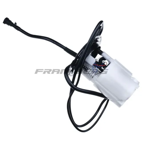 Kraftstoffpumpe Frankberg 5481FB0012818 Bild Kraftstoffpumpe Frankberg 5481FB0012818