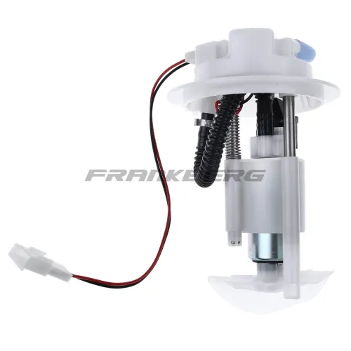 Kraftstoffpumpe Frankberg 5481FB0012848 Bild Kraftstoffpumpe Frankberg 5481FB0012848