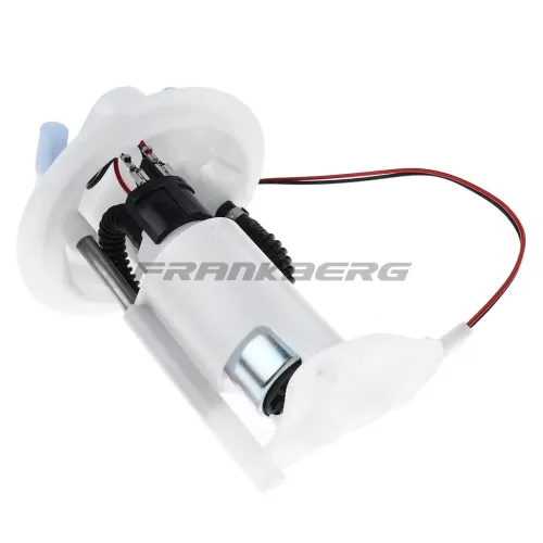 Kraftstoffpumpe Frankberg 5481FB0012848 Bild Kraftstoffpumpe Frankberg 5481FB0012848